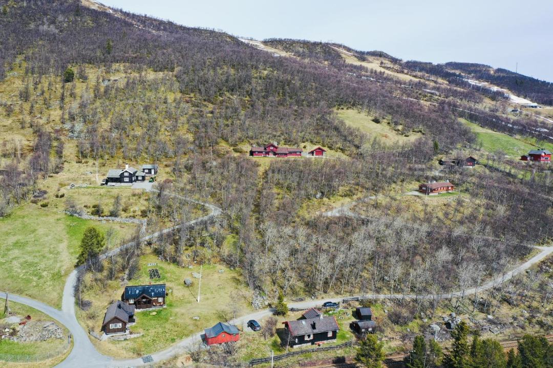 Photo of Others in Geilo