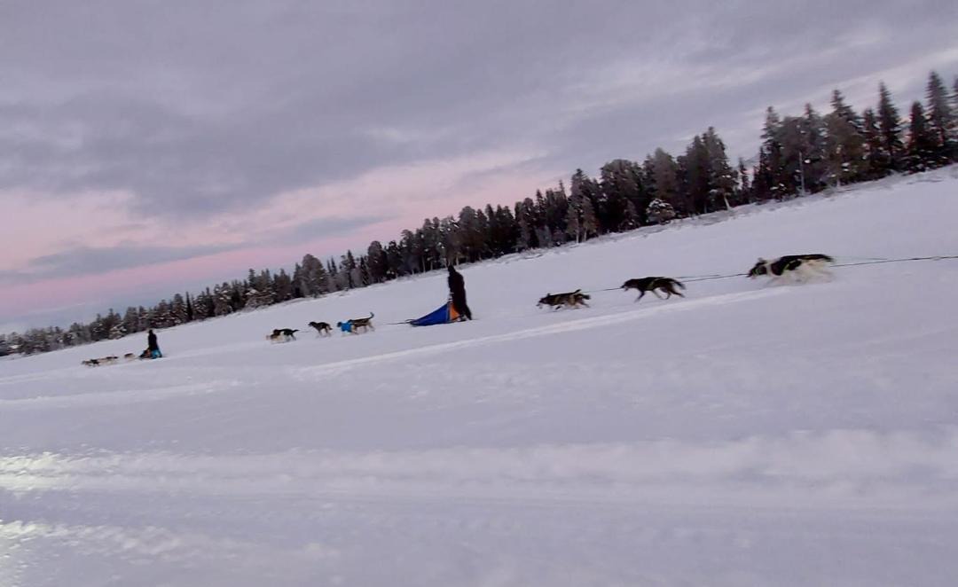 Photo of Others in Blattnicksele