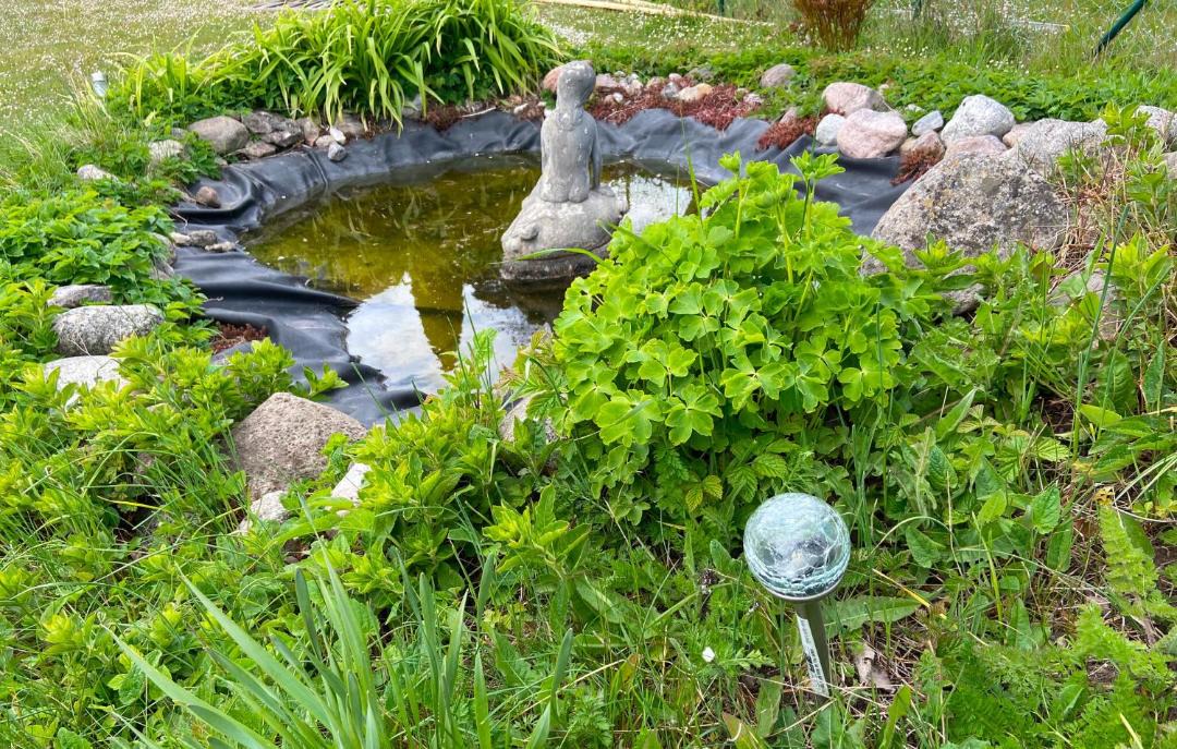 Photo of Outdoor in Vastergarn