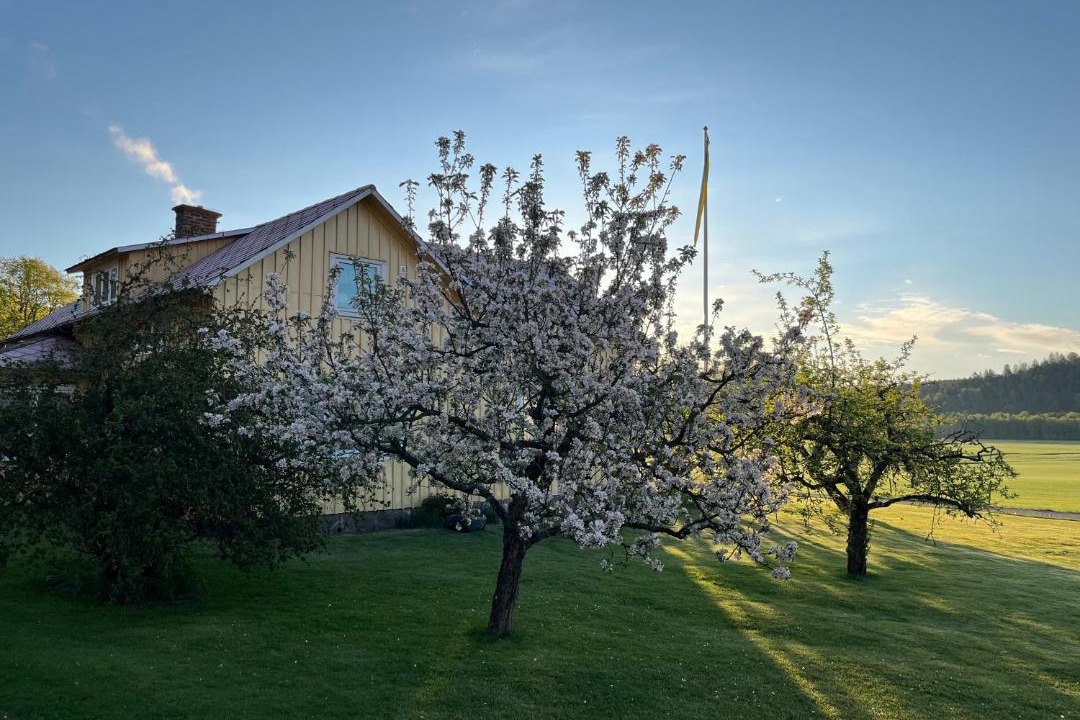 Photo of Others in Falkenberg Municipality