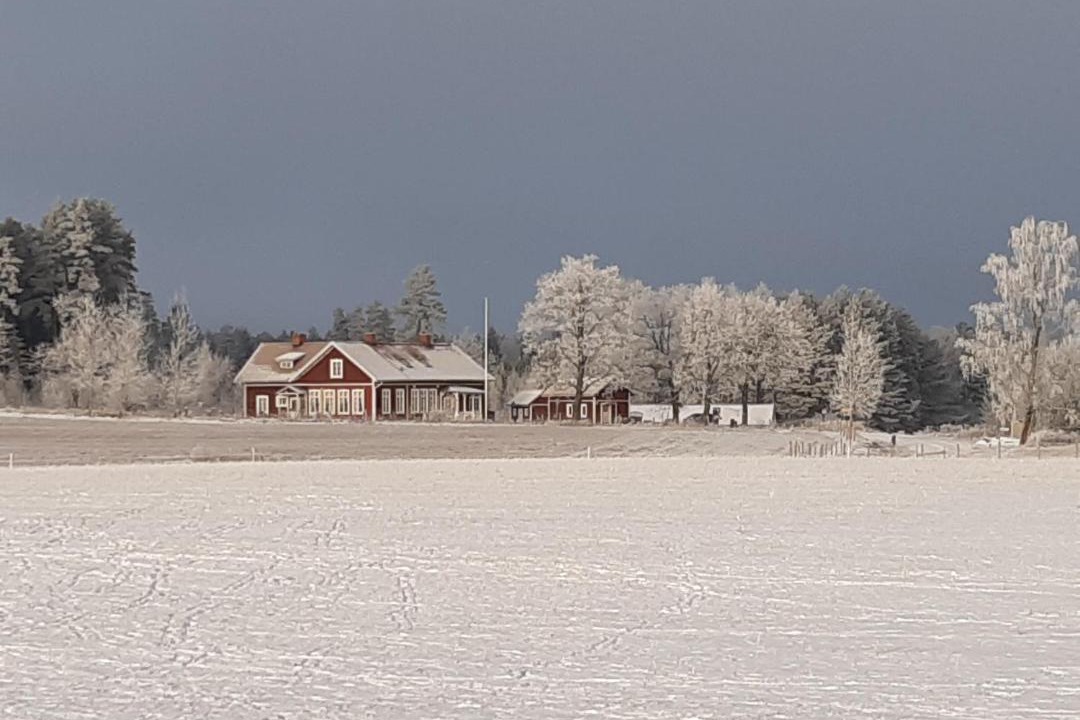 Photo of Others in Skovde