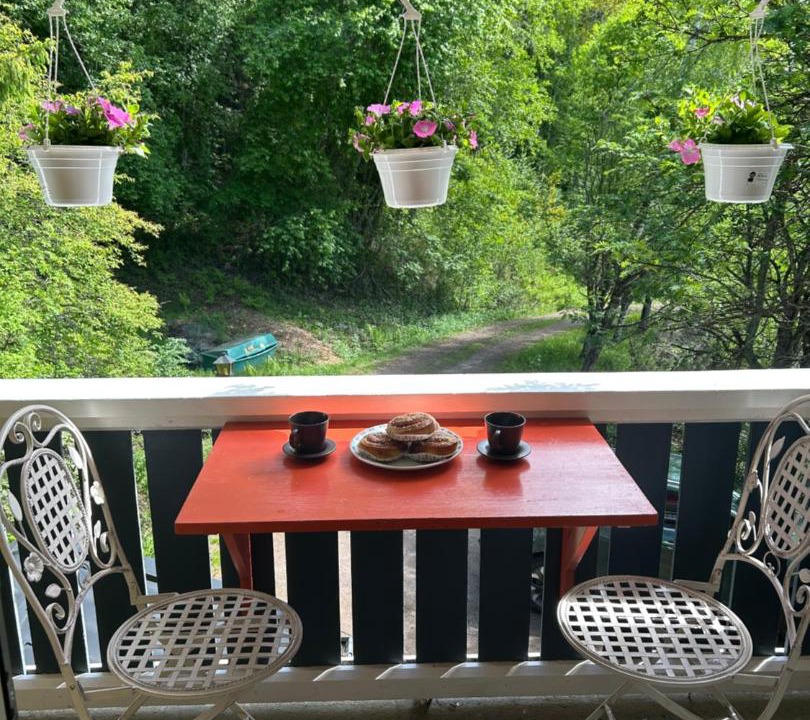 Photo of Patio Balcony in Torsby Municipality