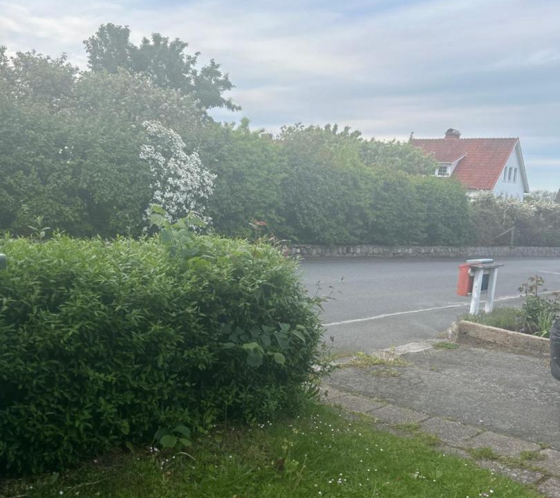 Photo of Others in Simrishamn