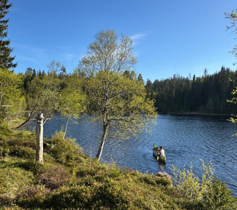 Photo of Others in Skaun
