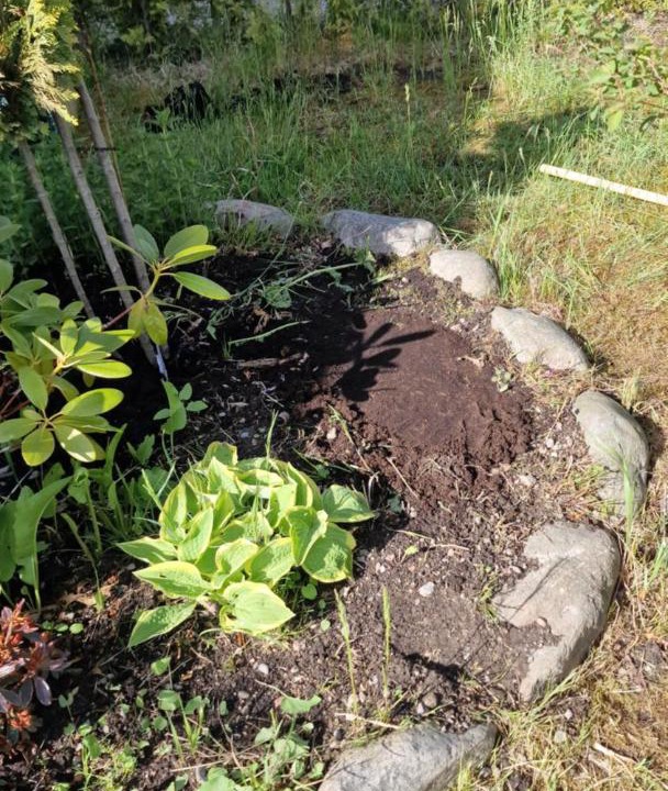 Photo of Outdoor in Nygard
