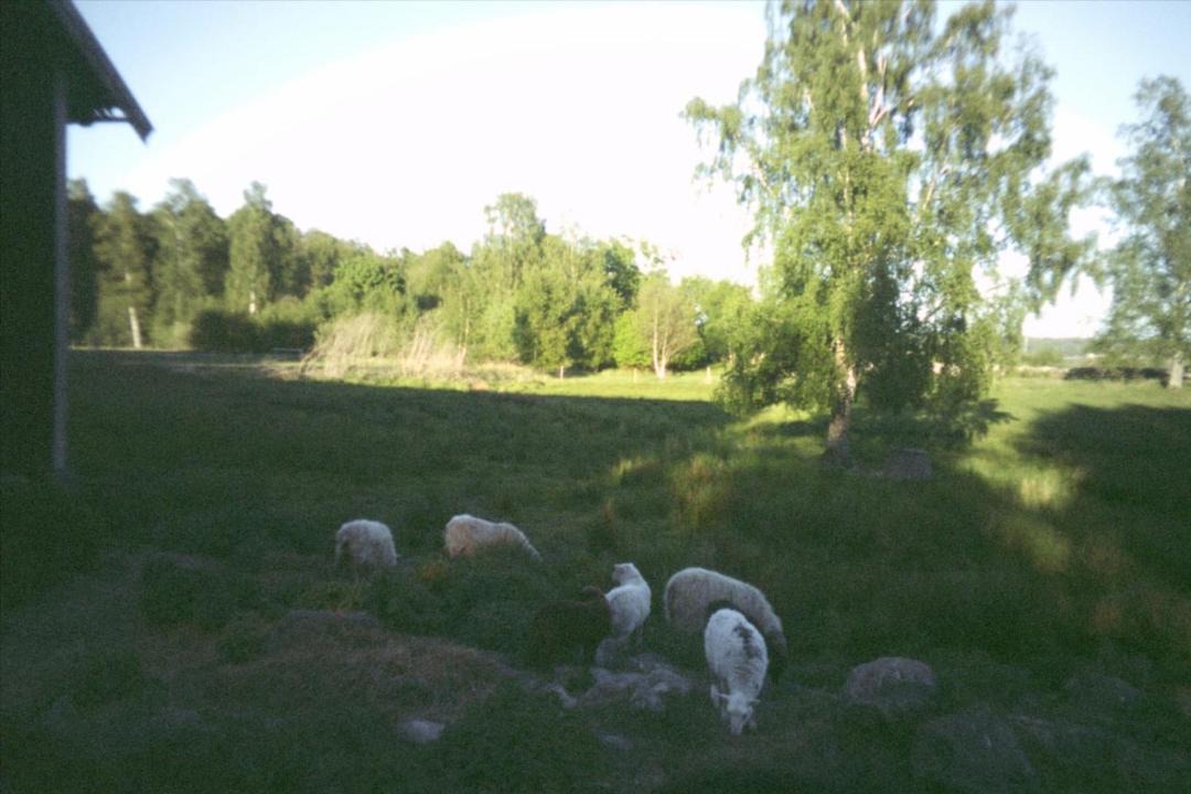 Photo of Others in Otterbacken