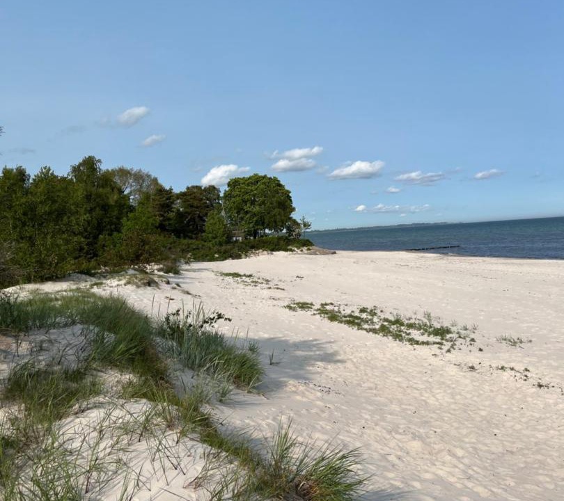 Photo of Others in Beddingestrand