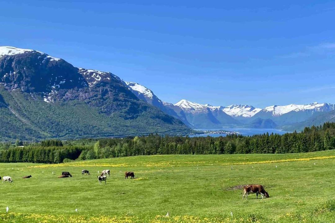 Photo of Others in Isfjorden