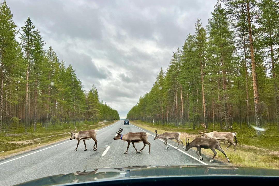 Photo of Others in Lampivaara