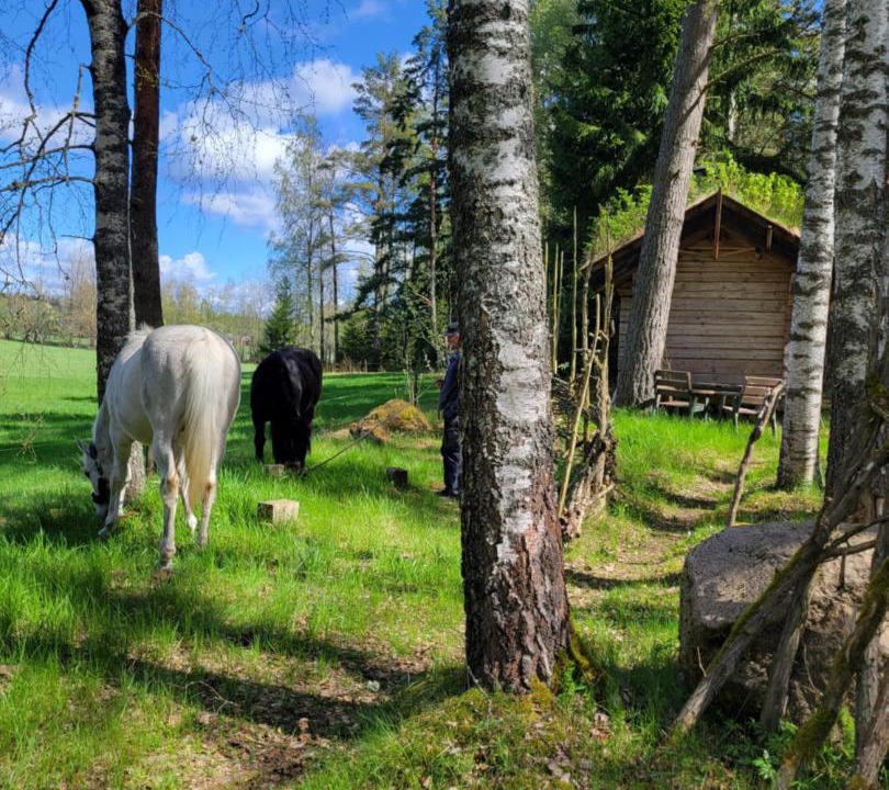 Photo of Others in Tibro