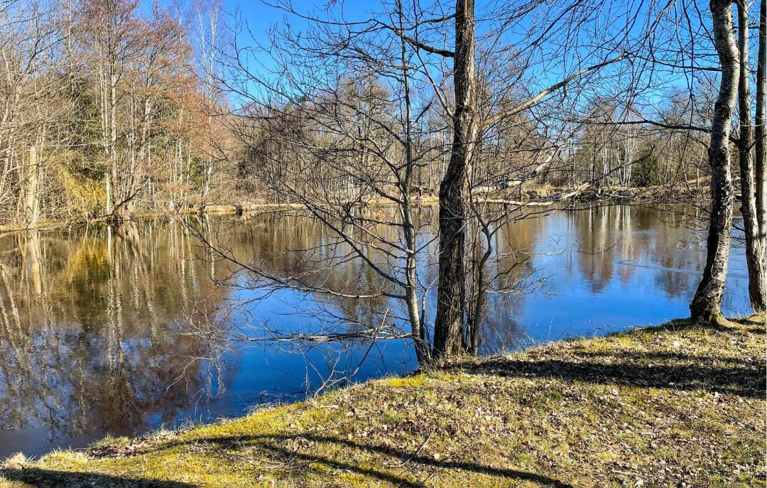 Photo of Others in Ludvigsborg