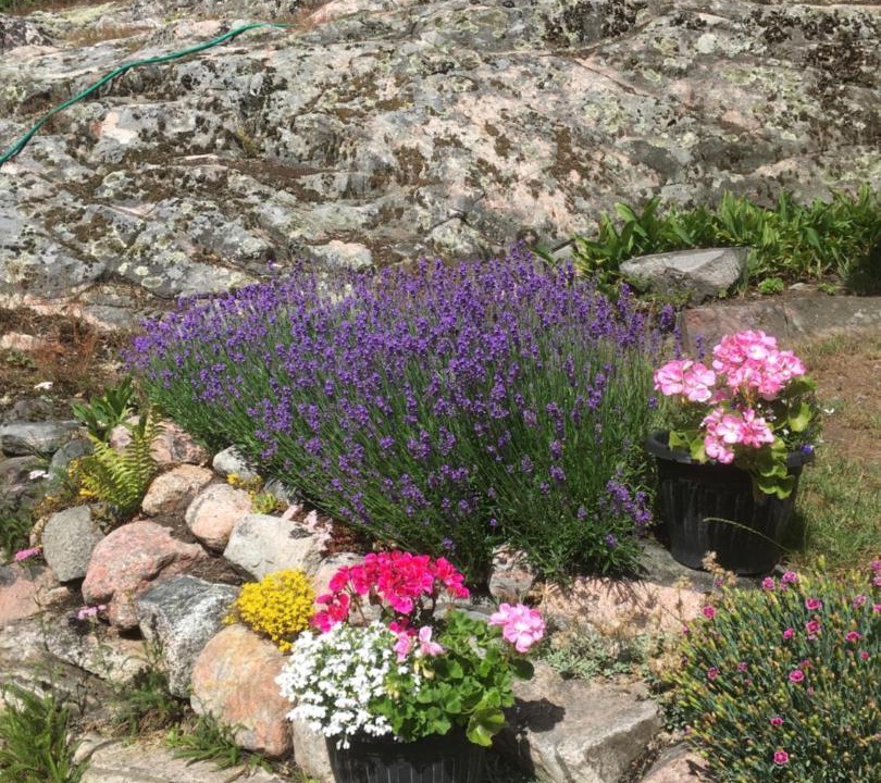 Photo of Outdoor in Ankarsrum