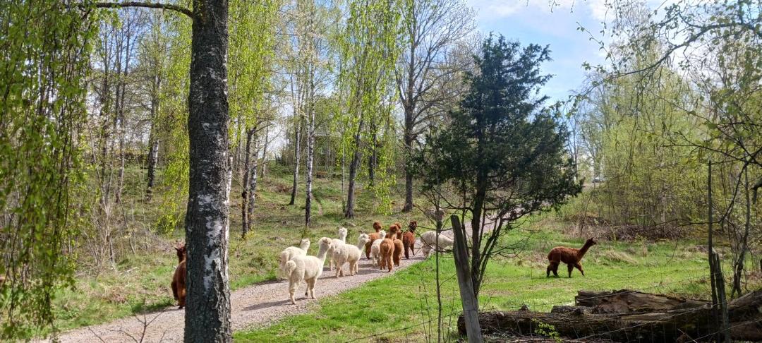 Photo of Outdoor in Vimmerby