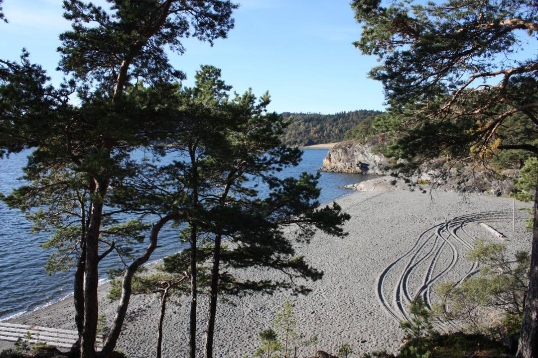 Photo of Others in Stjørdalshalsen