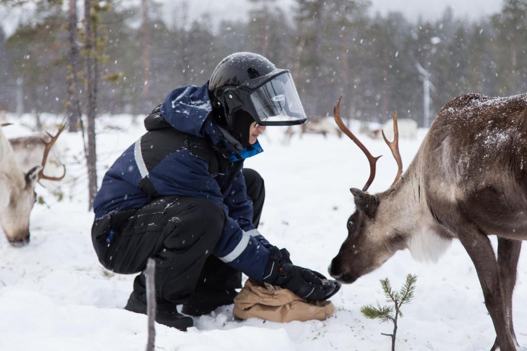 Photo of Others in Inari