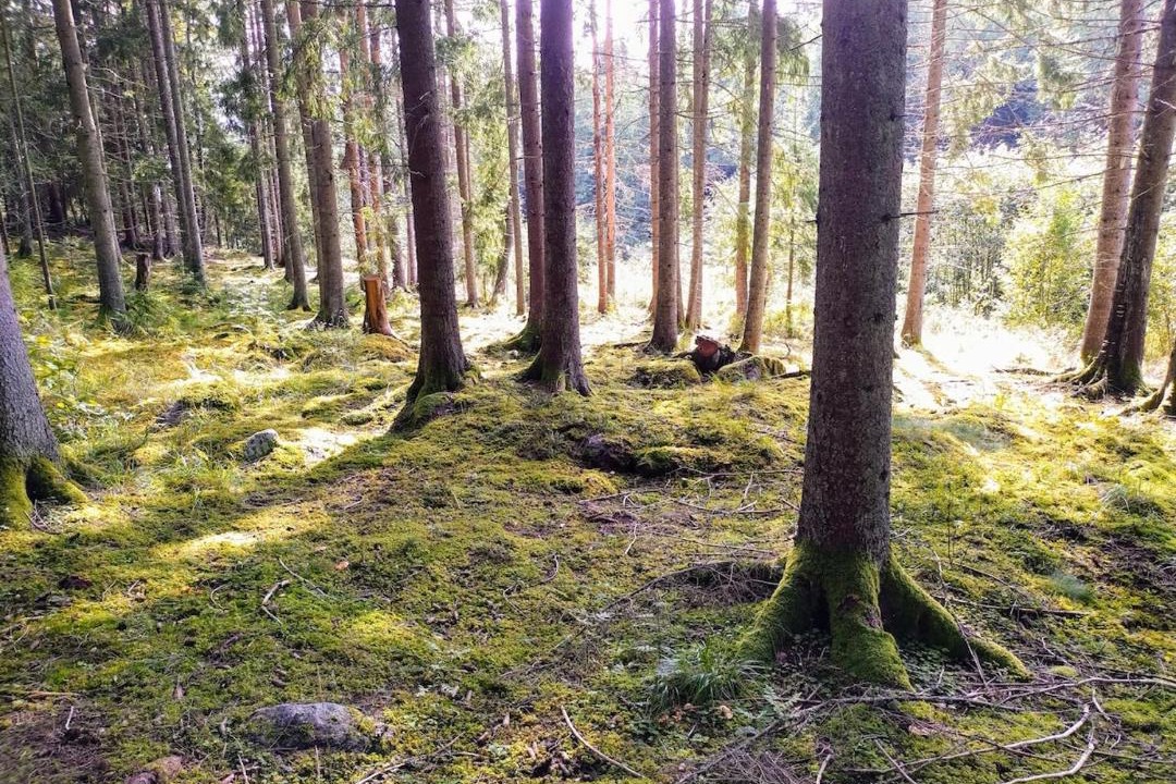 Photo of Others in Amotfors