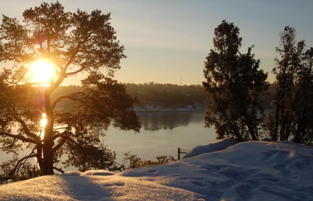 Photo of Others in Djurhamn