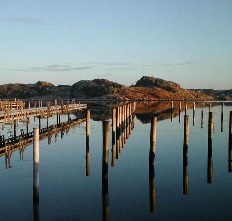 Photo of Others in Grundsund