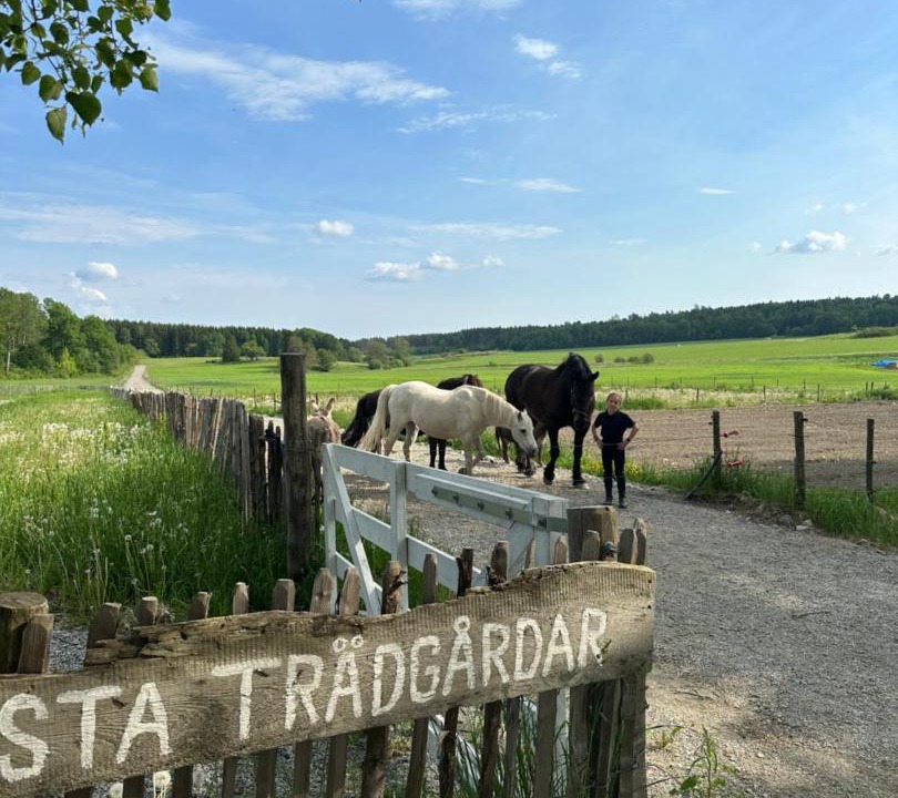 Photo of Others in Orsundsbro