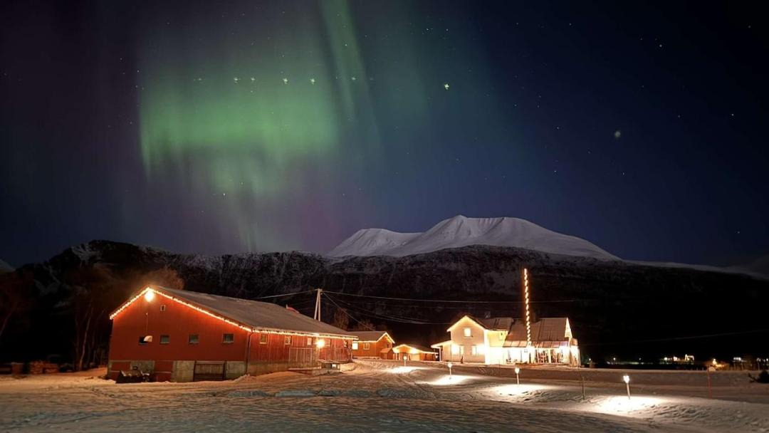 Photo of Others in Lyngen