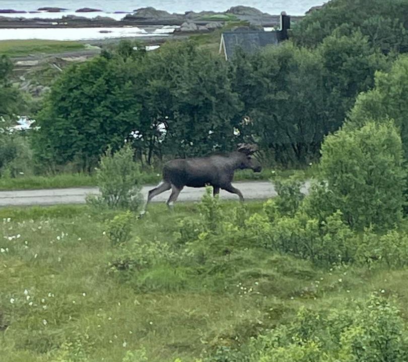Photo of Others in Oksnes