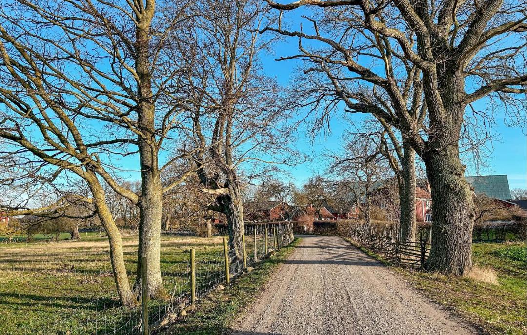 Photo of Others in Bergkvara