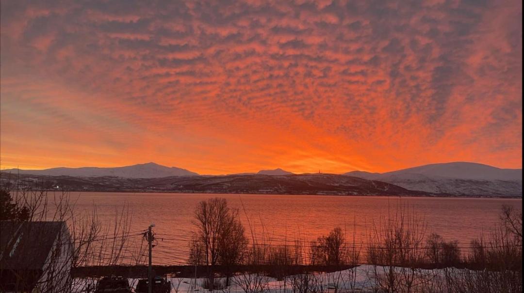 Photo of Others in Tromso
