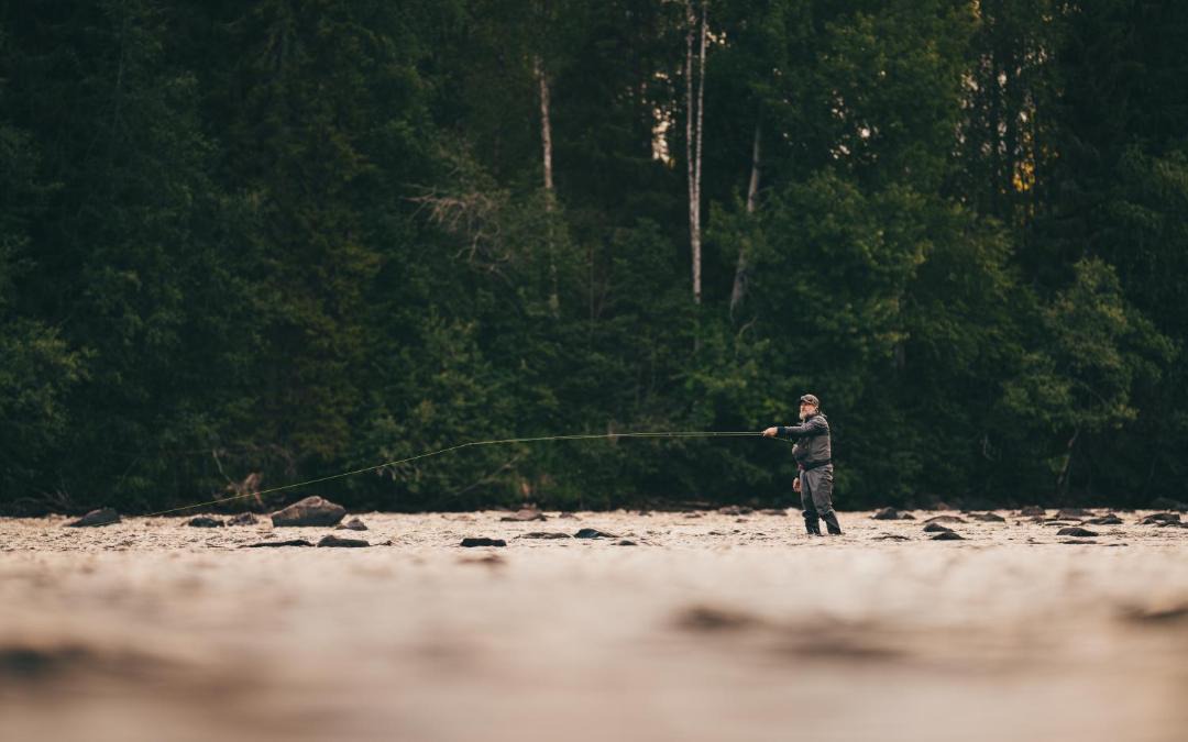 Photo of Others in Fallfors