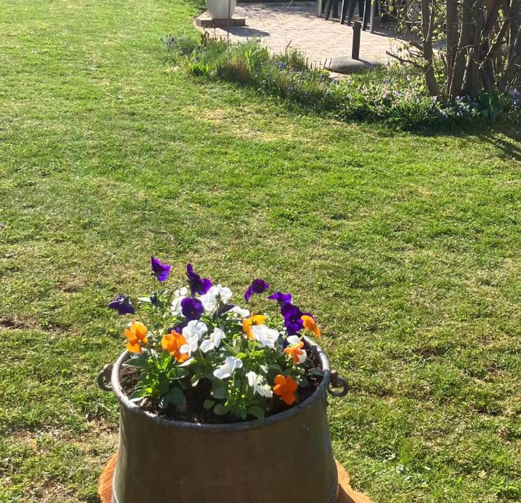 Photo of Outdoor in Vadstena