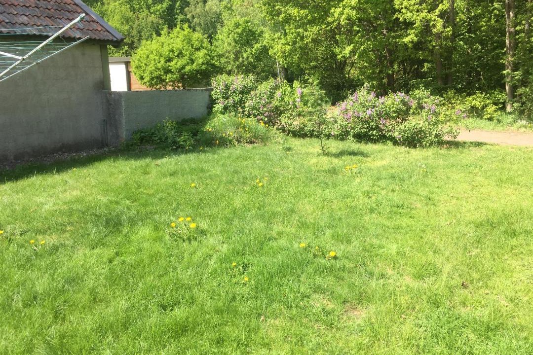 Photo of Outdoor in Timmernabben