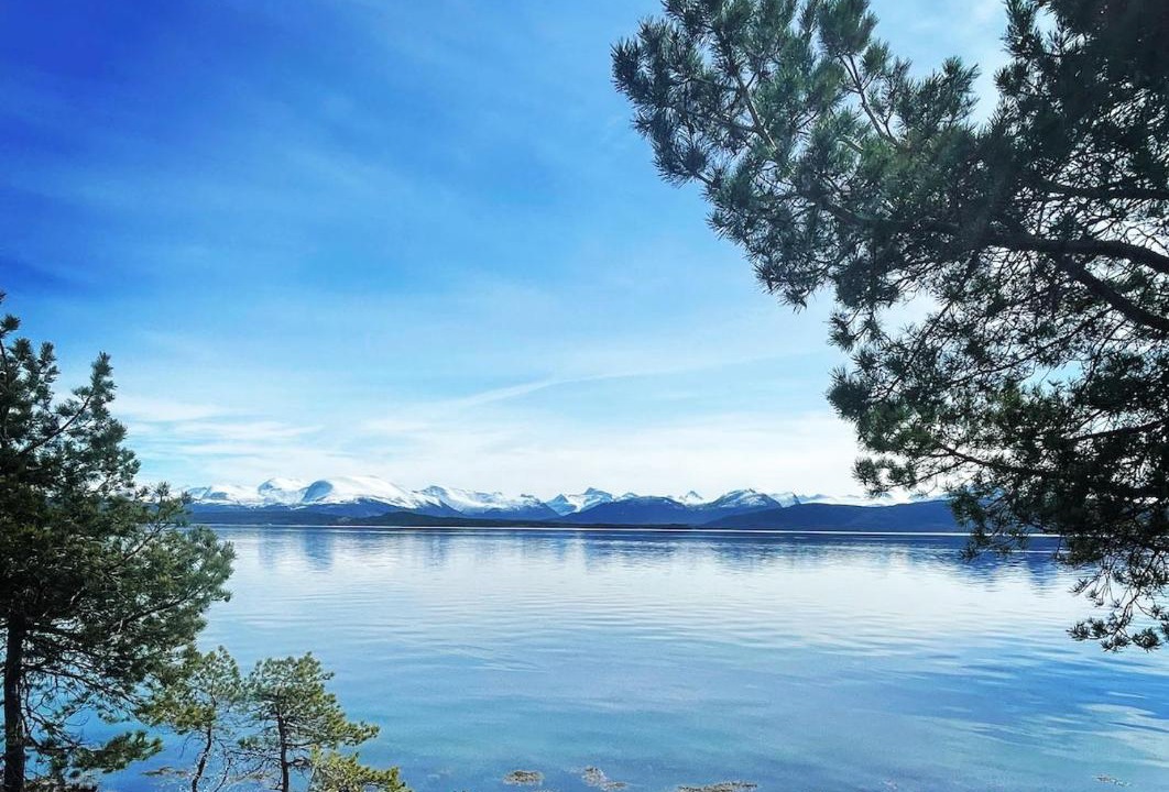 Photo of Others in Molde