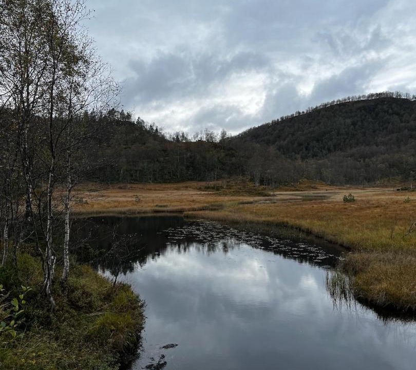 Photo of Others in Hardangerfjord