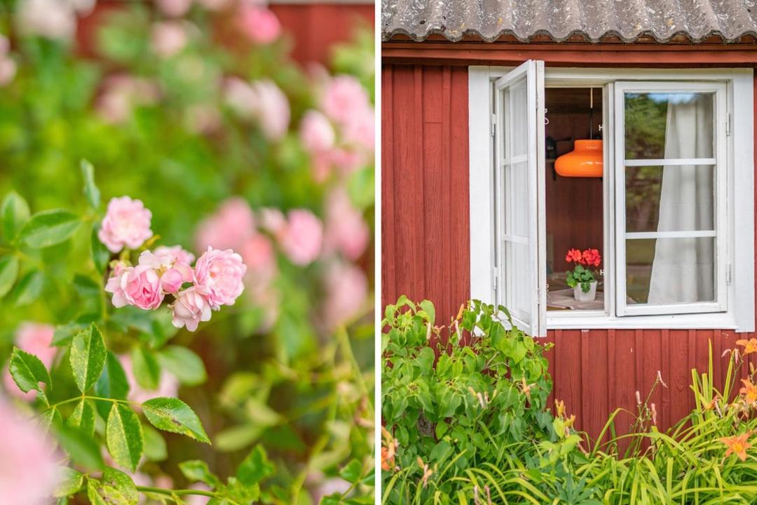 Photo of Others in Farjestaden