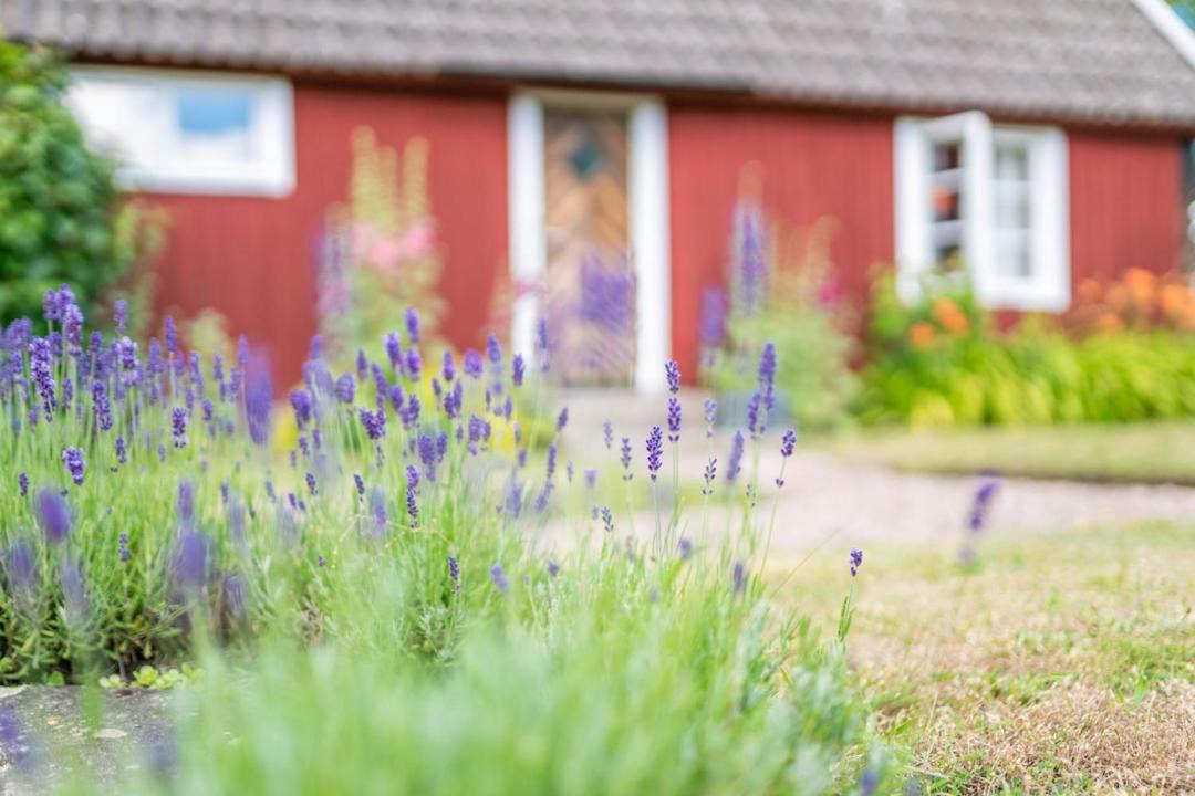 Photo of Others in Farjestaden
