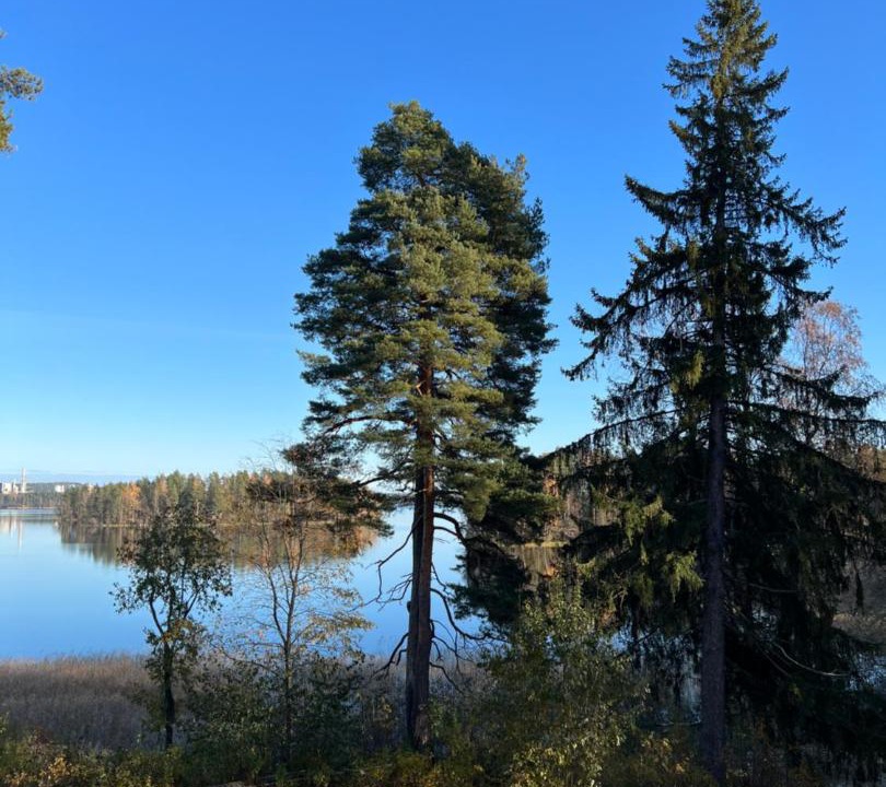 Photo of Others in Kuopio