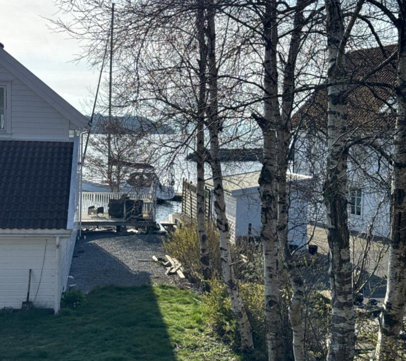 Photo of Others in Osthusvik