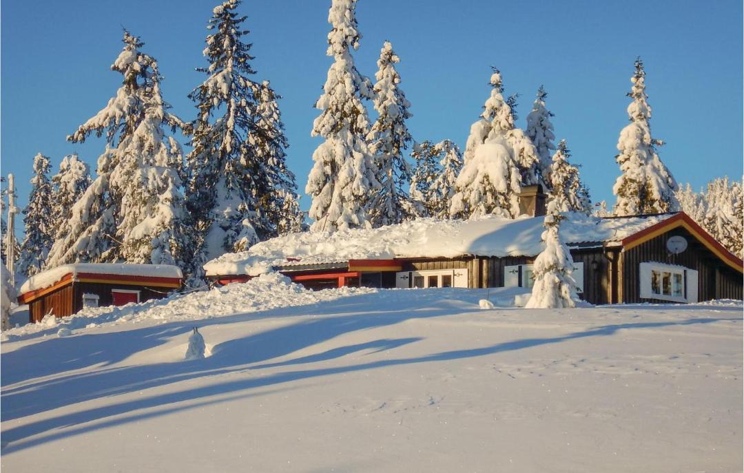 Photo of Others in Sjusjoen