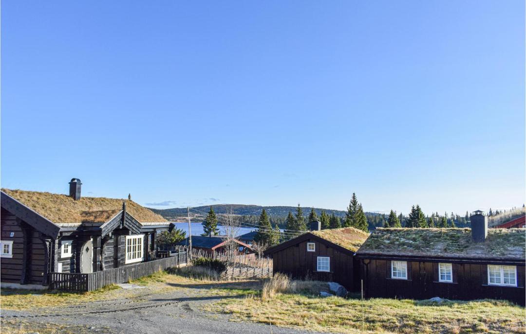 Photo of Others in Sjusjoen