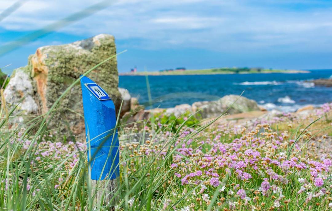 Photo of Others in Skummesloevsstrand