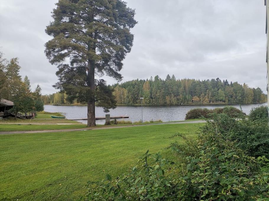 Photo of Others in Ikaalinen