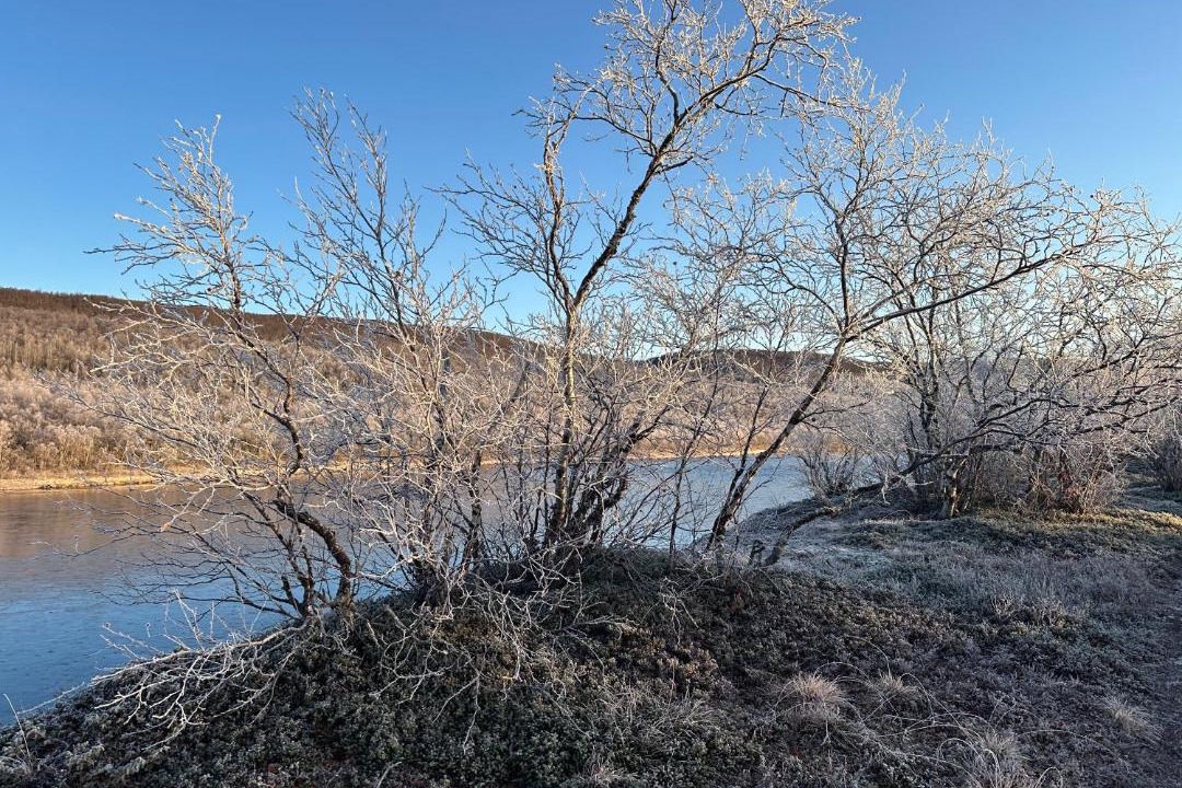 Photo of Others in Utsjoki