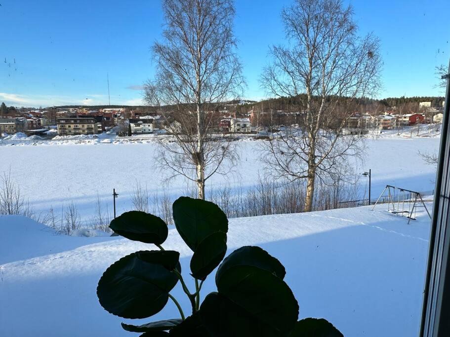 Photo of Others in Skelleftea