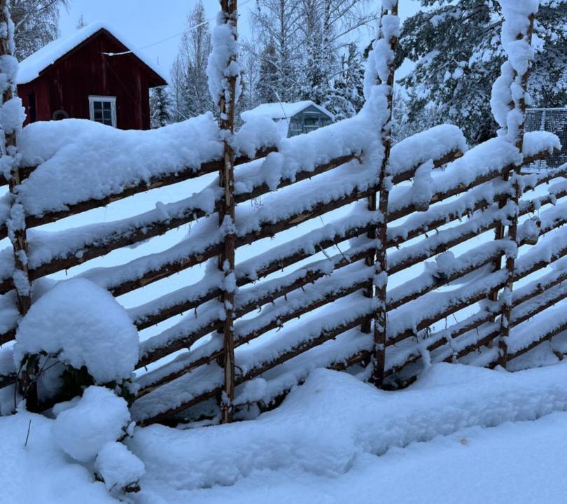 Photo of Others in Arvika