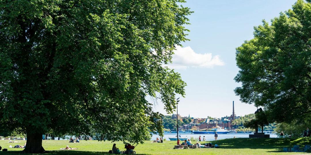 Photo of Others in Stadshagen
