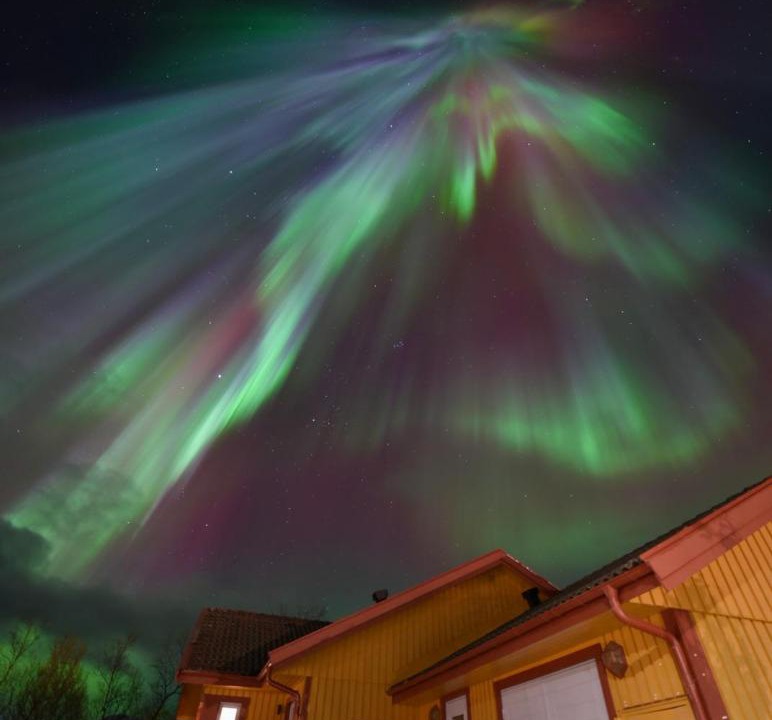 Photo of Others in Abisko