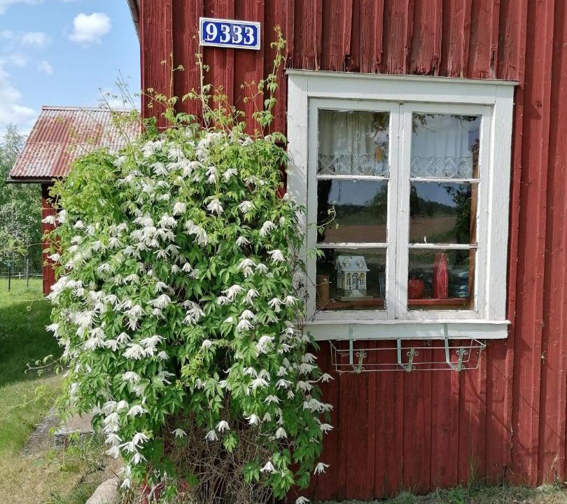 Photo of Others in Rengsjo