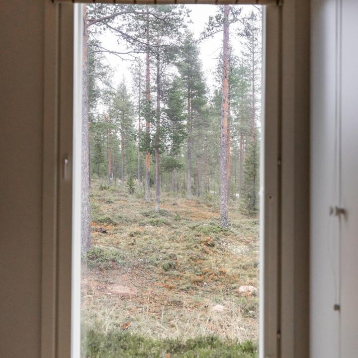 Photo of Others in Rovaniemi