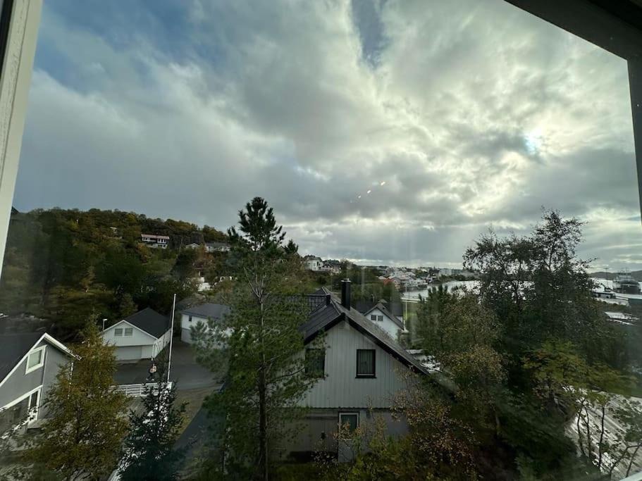 Photo of Others in Svolvaer