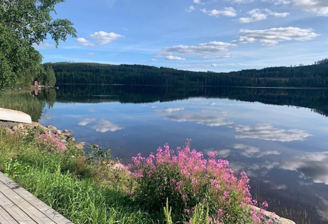Photo of Others in Ornskoldsvik Municipality