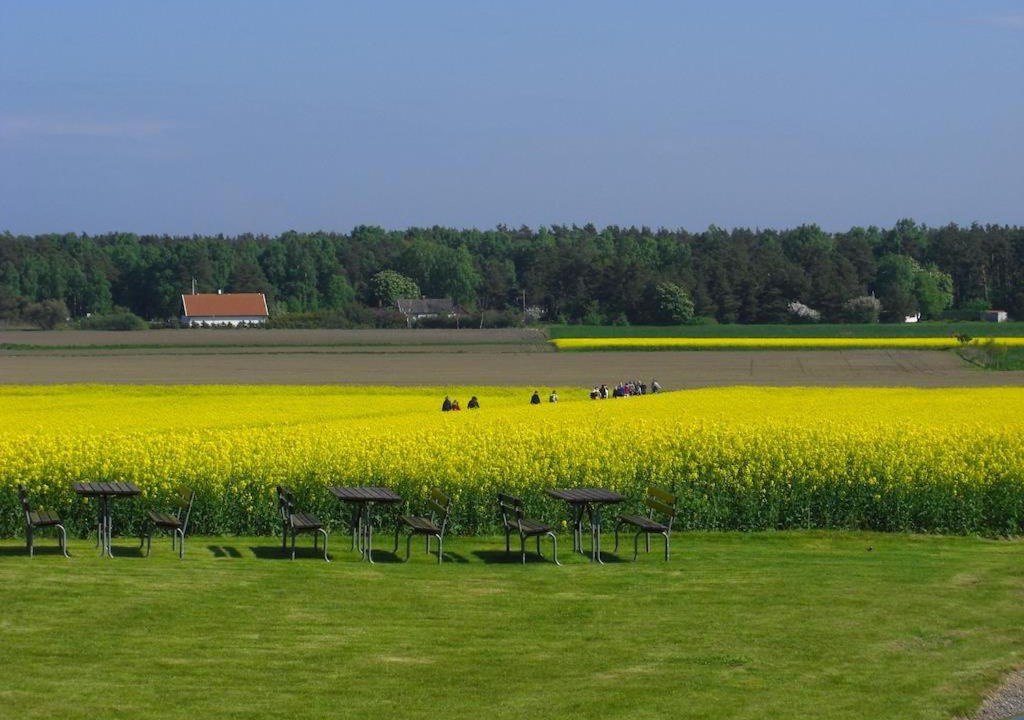 Photo of Others in Malarhusens